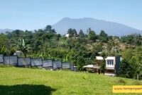 JUAL TANAH DI PUNCAK DINGIN SEJUK MURAH-4